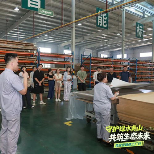 家居大咖為兔寶寶點(diǎn)贊！揭秘綠色發(fā)展之路