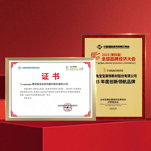 以創(chuàng)新破局，推動(dòng)行業(yè)新時(shí)代|兔寶寶榮獲“2025年度創(chuàng)新領(lǐng)航品牌”“2025年度科技創(chuàng)新產(chǎn)品”