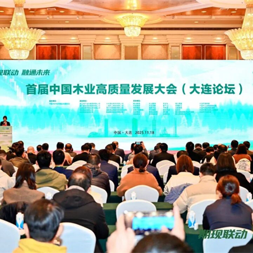 榮耀加冕！兔寶寶榮膺“中國木業(yè)高質(zhì)量發(fā)展領(lǐng)軍企業(yè)”，實力引領(lǐng)行業(yè)未來