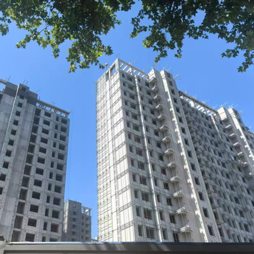 兔寶寶難燃膠合板賦能政務(wù)東改善標(biāo)桿 張秋冬攜安徽魯森助力意禾澄廬精裝建設(shè)