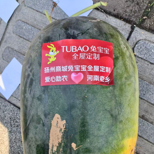 情系桑梓，兔寶寶全屋定制揚州商城店愛心助農(nóng)解鄉(xiāng)愁