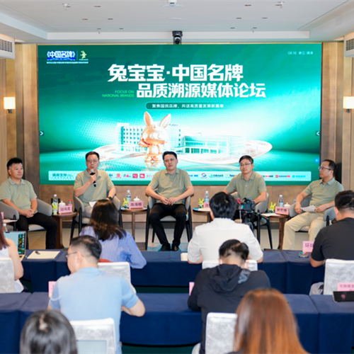 聚焦中國名牌 | 兔寶寶發(fā)展新質品牌力，推進品牌強國建設