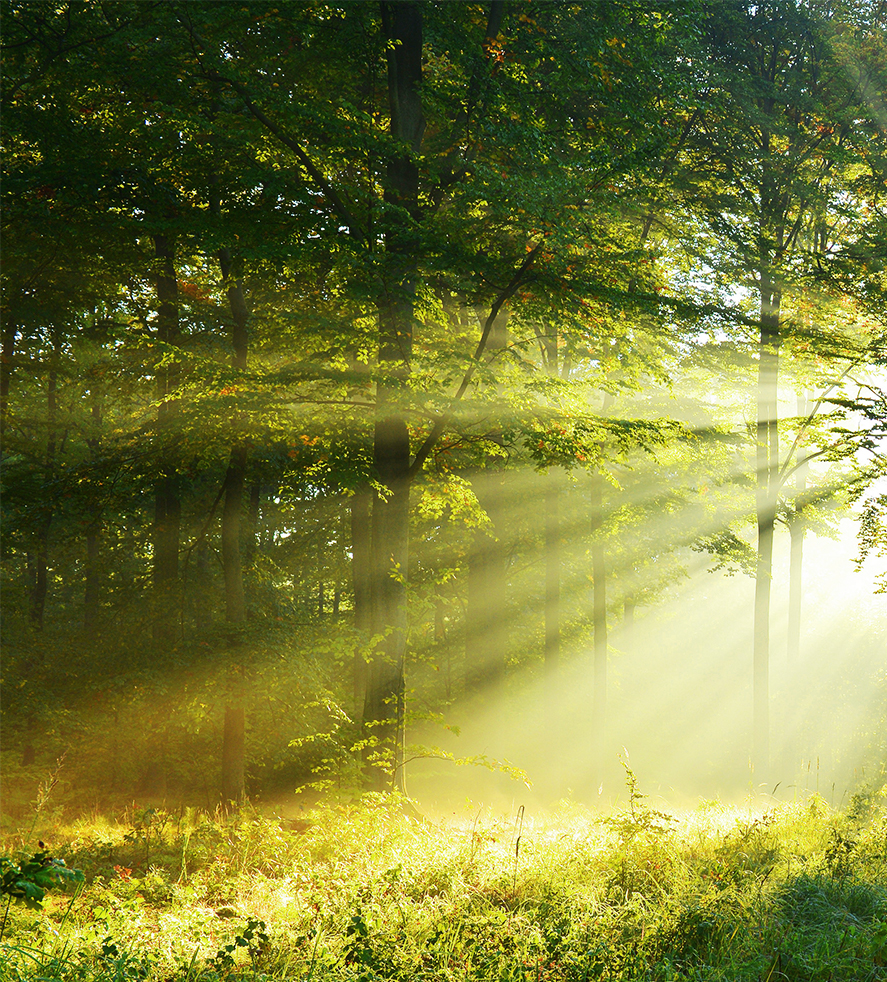 榮譽(yù)，來(lái)自認(rèn)可