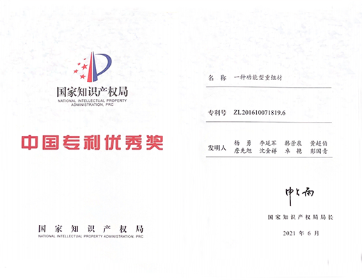中國專利優(yōu)秀獎