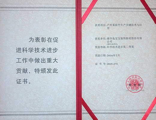 教育部科學(xué)技術(shù)進(jìn)步二等獎