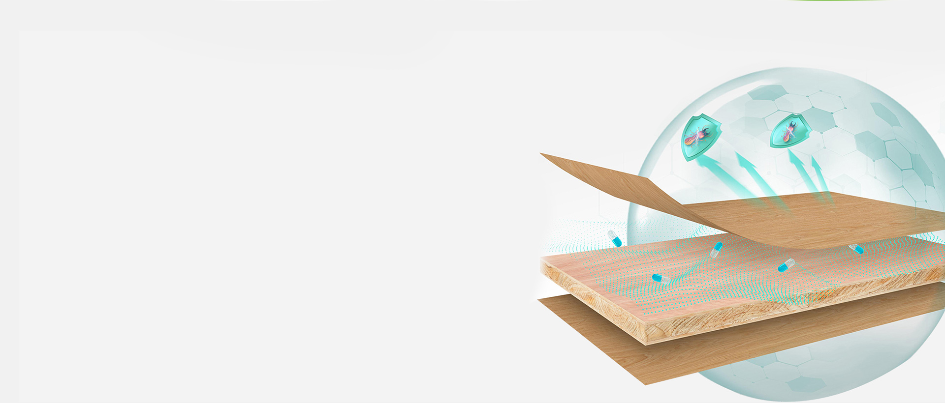 ENF級(jí)防蟲(chóng)蛀板材