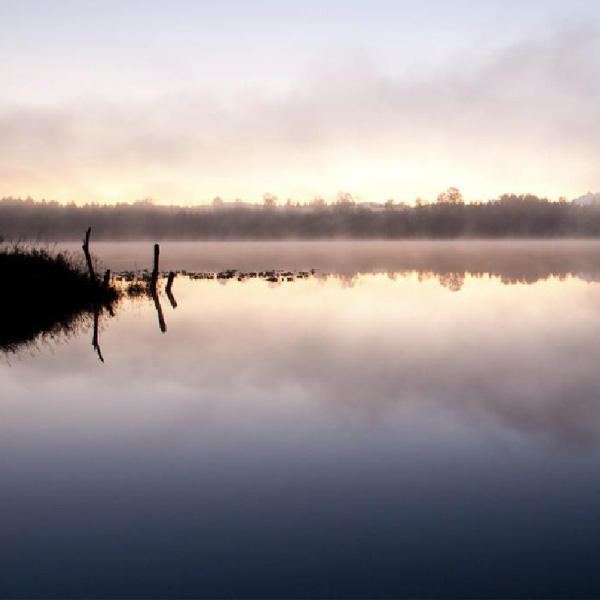 安然恬淡寧靜?夜