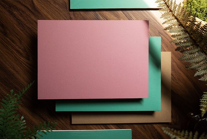 無醛堅果紙面石膏板