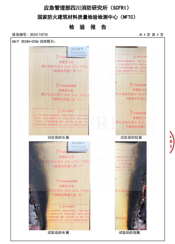 燃燒性能檢測報(bào)告